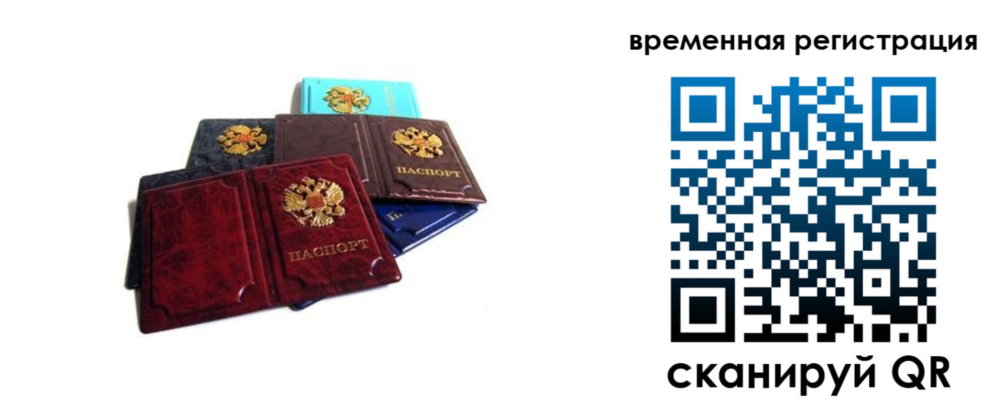 прописка гарантия в Заречном